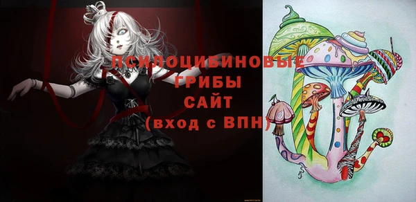стаф Киреевск
