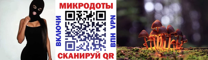 Галлюциногенные грибы ЛСД  Купить закладки  Шахунья 