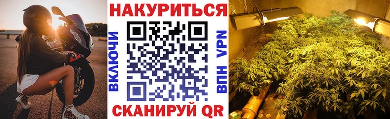 Купить где  Шахунья  Бошки марихуана AK-47 